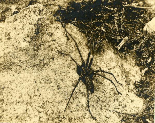 LBM70.211 image LBM70.211