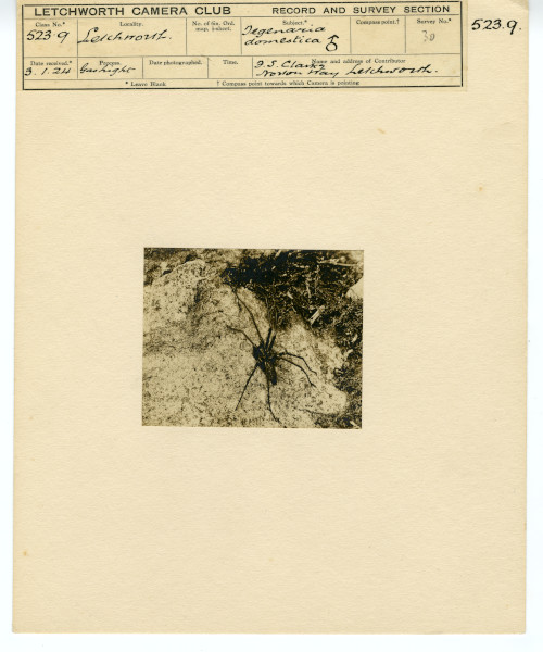 LBM70.211A image LBM70.211A