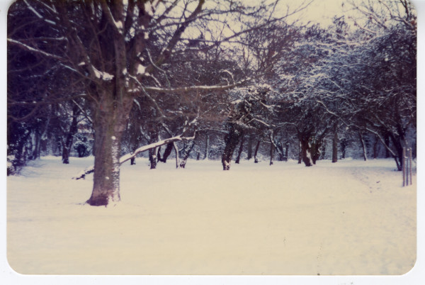 FGCHM 2009.36.14 image FGCHM 2009.36.14