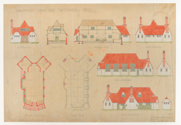 LBM4195 image LBM4195